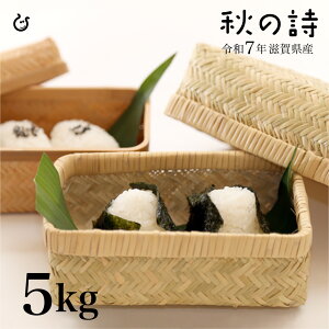 V  H̎ 5kg ꌧY ߘa7N 80