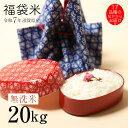 新米 ★★無洗米★★ 福袋米 20kg 10kg×2袋 滋賀県産 令和7年 1品種でのお届けとなります 100