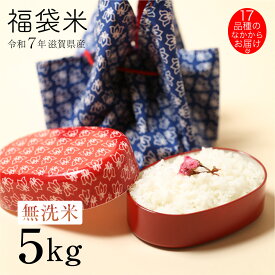 新米 ★★無洗米★★ 福袋 5kg 滋賀県産 令和7年 80