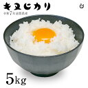 新米 白米 玄米 キヌヒカリ 5kg 滋賀県産 令和7年 80