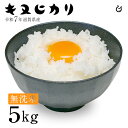 新米 ★★無洗米★★ キヌヒカリ 5kg 滋賀県産 令和7年 80