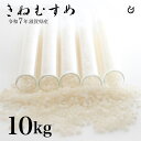 新米 白米 玄米 きぬむすめ 10kg 5kg×2袋 滋賀県産 令和7年 80