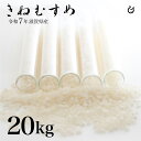 新米 白米 玄米 きぬむすめ 20kg 10kg×2袋 滋賀県産 令和7年 100