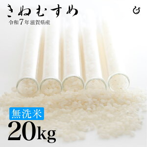 V ā ʂނ 20kg 10kg×2 ꌧY ߘa7N 100