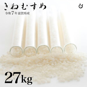 新米 白米 きぬむすめ 27kg 滋賀県産 令和7年 120