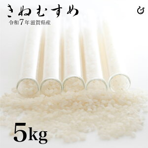 新米 白米 玄米 きぬむすめ 5kg 滋賀県産 令和7年 80