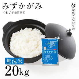 新米 ★★無洗米★★ みずかがみ 20kg 滋賀県産 令和7年 100