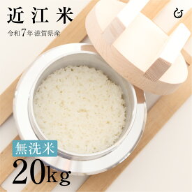 新米 ★★無洗米★★ 近江米 20kg 10kg×2袋 滋賀県産 令和7年 100