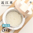 新米 ★★無洗米★★ 近江米 5kg 滋賀県産 令和7年 80