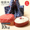 新米 福袋米 スペシャルパック 10kg 5kg×2袋 令和8年 滋賀県産 米 お米 白米 業務用 送料無料 80