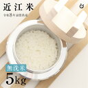 新米 ★★無洗米★★ 近江米 5kg 滋賀県産 令和8年 お米 白米 業務用 送料無料 80