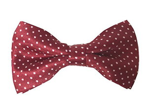 yqp lN^CzK-2 NIeB[͂liȏ!ȒPyɊȒP LbY lN^C bh  hbg ʁyz