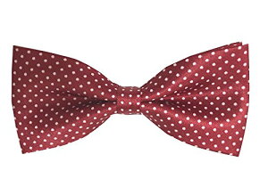 ylp lN^Cz1-8 NIeB[͂liȏ!ȒPyɊȒP bh  hbg  yz