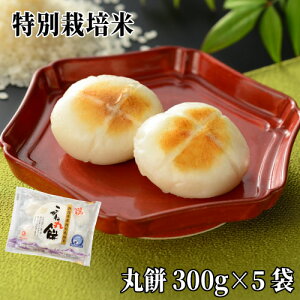 03271 ʍ͔|VYĂ˂ U-MZbg