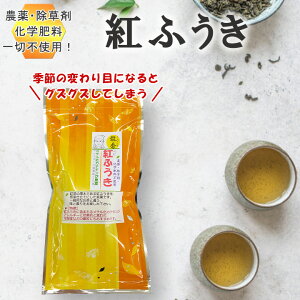  gӂ { Β̗@_sgp _ ׂɂӂ   G߂̕ς ̗t t g `JeL v[g ̓ ̓ p  蕨 jM