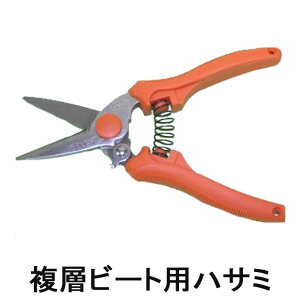 wr[gpnT~ wKX r[g nT~ Jb^[ wr[g KX TbV H TbVH vdl KXH Ɩp Ԍ DIY Ɏq