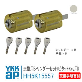 YKK AP 交換シリンダーセット ＜交換手順書付＞ 【HH5K15557】 シルバー スマートドア　プロント［PED型］ピタットKey用 錠 鍵 鍵穴 カギ 防犯 取付 取替 玄関ドア