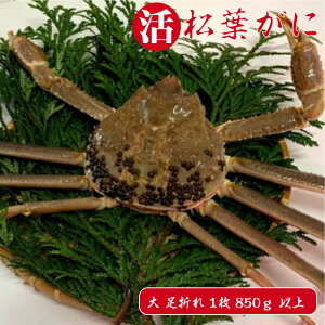 訳あり 活 毛ガニの人気商品 通販 価格比較 価格 Com
