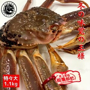 yN[|Lz  tKj ^Ot yXz 1.1kg 1 t  tI ~Mtg YCKj Jj hg I   V ~ O CN  Mtg I ɂ 