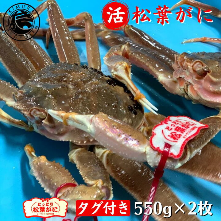 楽天市場 タグ付き 活 松葉がに 550g 2枚 松葉蟹 松葉がに 松葉ガニ 活 ズワイガニ 姿 生 カニ 姿 刺身 鍋 美味しい おいしい カニ ギフト 贈答 鳥取県 木村鮮魚店 木村鮮魚店 楽天市場店