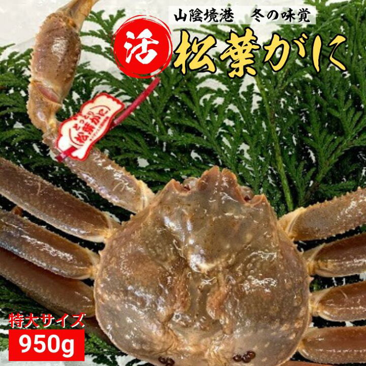 楽天市場 特大 タグ付き 活 松葉がに 1枚 950g以上 松葉蟹 松葉がに 松葉ガニ 活 ズワイガニ 姿 生 カニ 姿 特大 刺身 鍋 美味しい おいしい カニ ギフト 贈答 鳥取県 木村鮮魚店 木村鮮魚店 楽天市場店