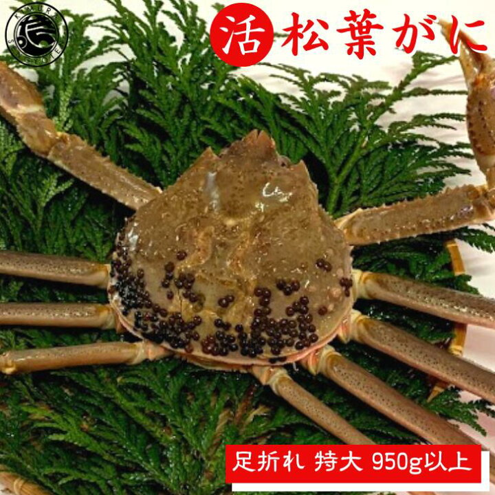 楽天市場 特大 足折れ 活 松葉がに 1枚 950ｇ以上 訳あり 松葉蟹 松葉がに 松葉ガニ 活 ズワイガニ 姿 生 カニ 姿 特大 身入りバッチリ 刺身 鍋 美味しい おいしい カニ ギフト 贈答 鳥取県 木村鮮魚店 送料無料 木村鮮魚店 楽天市場店