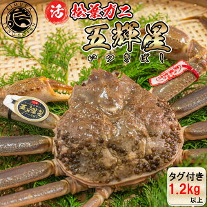 yN[|Lz y܋Pz tKj X 1.2kgȏ t  tI Ε  Ε ~Mtg YCKj Jj hg I   V ~ O CN  Mtg 