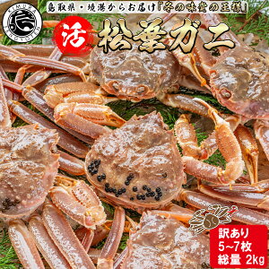 yN[|Lz  tKj ܂y󂠂5`Zbgz 2kg 5`7 t  tI ~Mtg YCKj Jj hg I   V ~ O CN  Mtg I