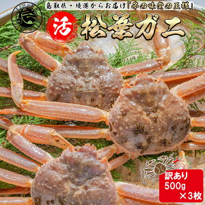 yN[|Lz  tKj ܂y󂠂3Zbgz 500g×3 t  tI ~Mtg YCKj Jj hg I   V ~ O CN  Mtg I 