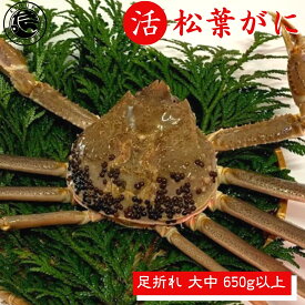 活 松葉ガニ 足折れ【大中サイズ】 650g以上 1枚 松葉がに 鳥取 松葉蟹 冬ギフト ズワイガニ カニ 刺身 蟹 鍋 かに 新物 冬 グルメ 海鮮 お取り寄せ ギフト 蟹しゃぶ かにしゃぶ 誕生日 プレゼント ご褒美 贈り物 ご贈答 国産 冬の味覚