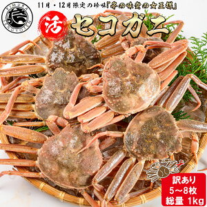  ZRKj ܂ y󂠂5`8Zbgz 1kg  eKj Kj YCKj tKj X  ~Mtg Jj I   V ~ O CN  Mtg I 