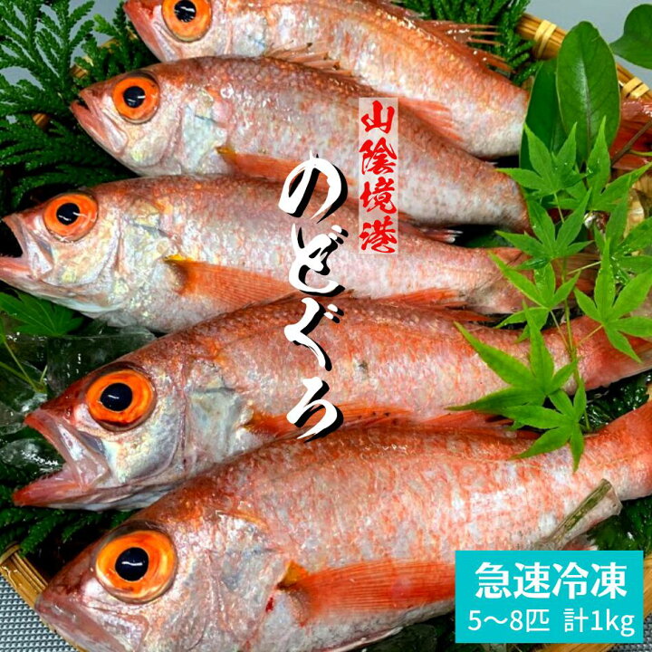 楽天市場 のどぐろ 急速冷凍 5 8匹 約150 230g 合計約1kg 中小サイズ 下処理済み 母の日 父の日 ギフト プレゼント ノドグロ アカムツ 鮮魚 お刺身 塩焼き お煮付け 美味しい 干物 贈り物 贈答用 山陰 境港産 高級魚 木村鮮魚店 楽天市場店