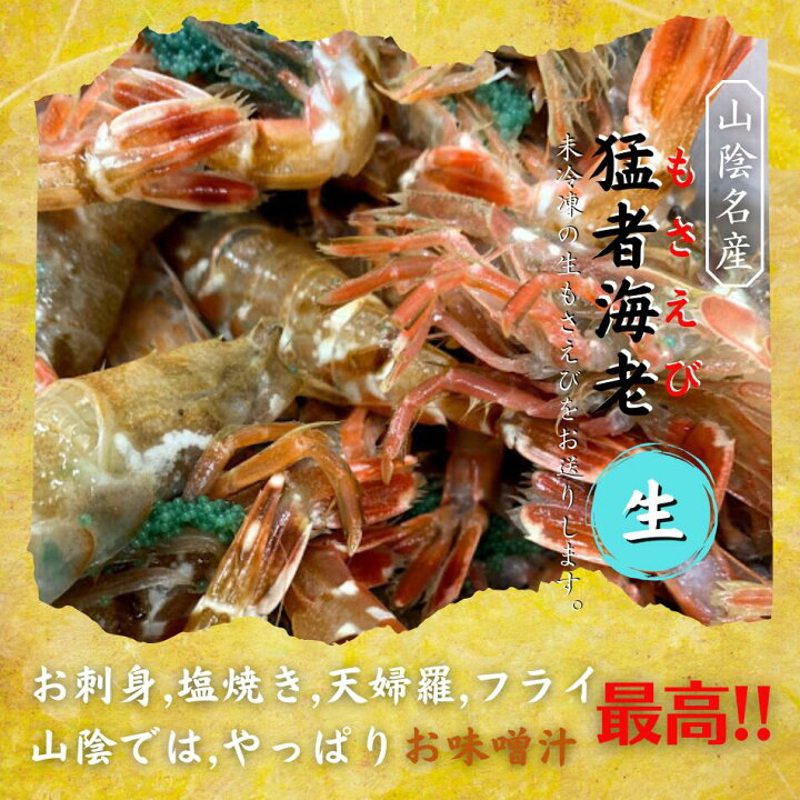楽天市場 鮮度抜群 モサエビ 1kg 50尾前後 お刺身 塩焼き 味噌汁 フライ もさえび ギフト 贈り物 贈答 境港直送 海鮮 鮮魚 お中元 御中元 父の日 クロザコエビ ドロエビ 猛者海老 えび エビ 海老 甘エビ アカエビ オニエビ ガスエビ シロガス クロガス 木村鮮魚店