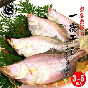 yXƐ ̈銱z JC 3`5 (1 120g`170g) Mtg JC JC ꂢ 銱  Mtg ̓ ̓ hV̓ 蕨   GeJC 