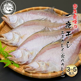 【当店自家製 自慢の一夜干し】 干しカレイ 3〜5枚入り (1枚 120g〜170g) カレイ 一夜干し かれい 干物ギフト 干カレイ カレイ 干物 ギフト 母の日 父の日 敬老の日 贈り物 美味しい おいしい エテカレイ 宗八カレイ 木村鮮魚店
