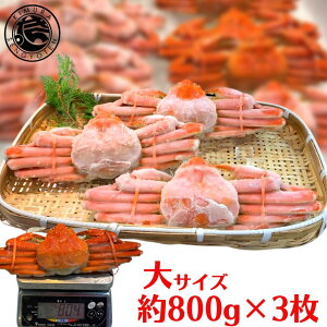 yⓀz䥂ŃYCKj TCY3Zbg 800g×3 킢
