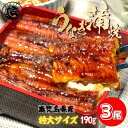 国産うなぎ 蒲焼き 3尾セット 鹿児島 特大サイズ 190g前後 鰻 ウナギ うなぎの蒲焼 蒲焼 鹿児島産 鰻の蒲焼 美味しい うなぎ蒲焼 贈り物 母の日 父の日 土用丑の日 ギフト プレゼント