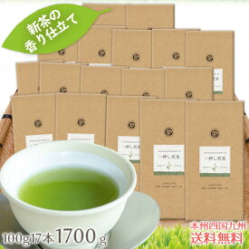 茶和家 一押し 掛川深蒸し茶 100gx17本 (540円/100g)