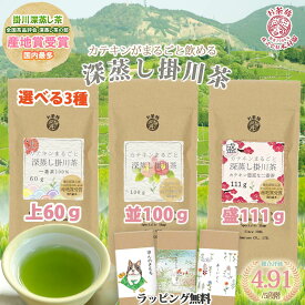 [選べる3本 最大333g］お茶 旅 緑茶 茶葉 カテキンまるごと 蒸し掛川茶 (並100g/上60g/盛111g) 創業80年 送料無料 深蒸し茶［ラッピング無料 ］プチギフト 1000円台 カテまる