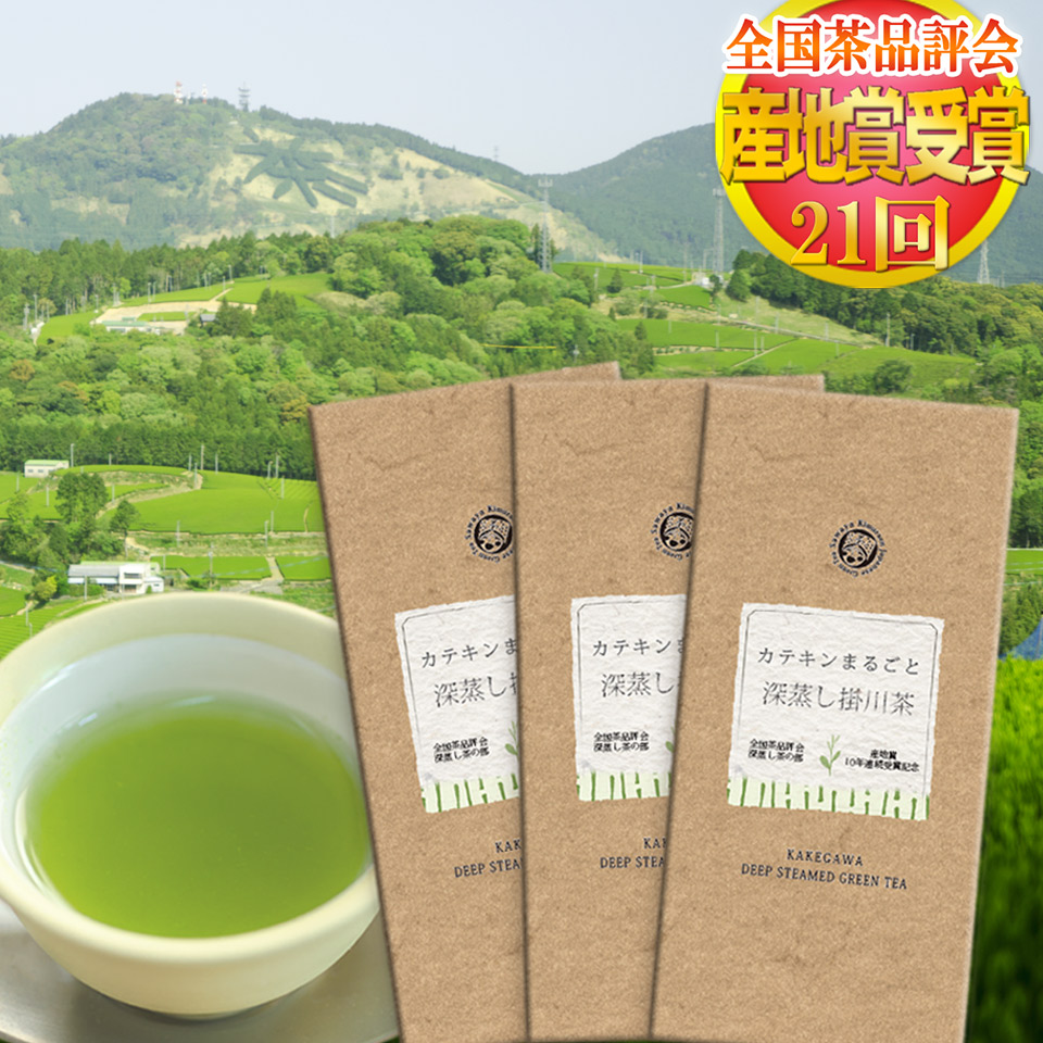 ワンピなど最旬ア！ 静岡茶 深蒸し茶 日本茶緑茶 100g30袋 まかないのお茶 農家さん - 茶