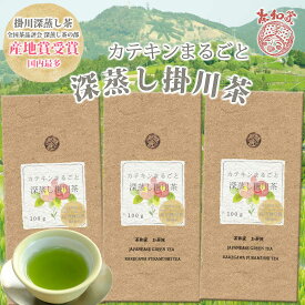 お茶 緑茶 茶葉 掛紙21種 産地賞受賞 茶和家 カテキンまるごと飲める 深蒸掛川茶 300g 1,000円 送料無料 プチギフト