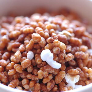  u  100g Ē VA Ԃi3グŃ[ւIтĂݒ̓s㑗oĂ܂܂ق280~ɏC܂j