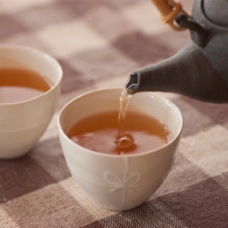 ほうじ茶たっぷり詰めたほうじ茶900g本州四国九州送料無料カフェイン控えめ掛川茶番茶焙じ茶静岡茶お徳用お茶【asr】