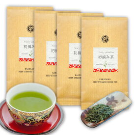 2024年 母の日 新茶 予約 高級 茶和家 初摘み茶100g平袋×4枚