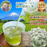 [200包2000円] お茶 ティーバッグ 緑茶 掛川茶 深蒸し茶 (選べる 2.5g×60包/200包) 送料無料 水出し 業…