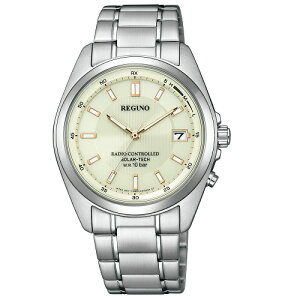 �V�`�Y�� KS3-115-31 REGUNO �X�^���_�[�h 10�C���h�� �\�[���[�d�g���f��