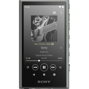 yiz\j[ NW-A307 H EH[N} nC]Ή WALKMAN A300V[Y 64GB O[