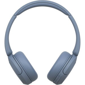 \j[ WH-CH520 L CXXeIwbhZbg u[ WHCH520 L