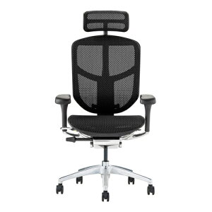 Ergohuman Enjoy2 �G���S�q���[�}�� �G���W���C2 EJ2-HAM-BF-BK �u���b�N�t���[��×�u���b�N���b�V�� �n�C�o�b�N