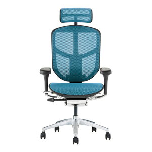 Ergohuman Enjoy2 �G���S�q���[�}�� �G���W���C2 EJ2-HAM-BF-BL �u���b�N�t���[��×�u���[���b�V�� �n�C�o�b�N